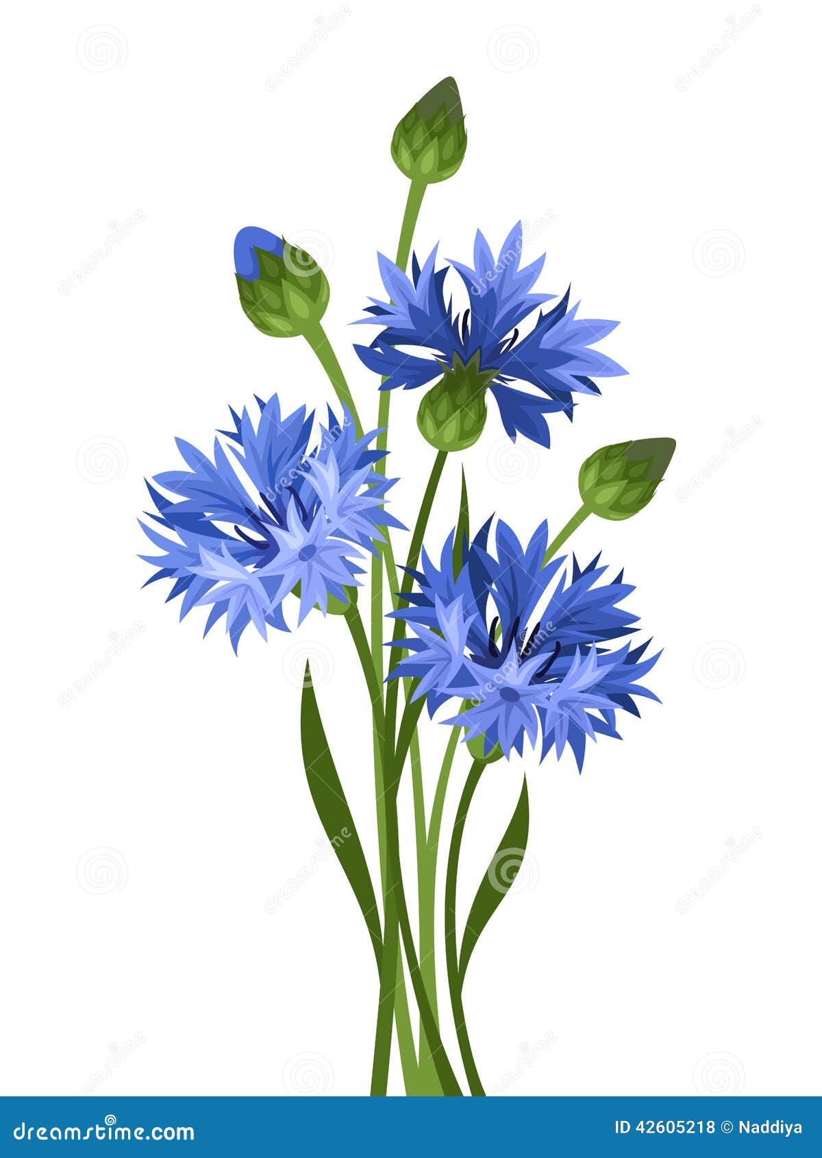 Bouquet Of Blue Cornflowers. Vector Illustration. Stock Vector