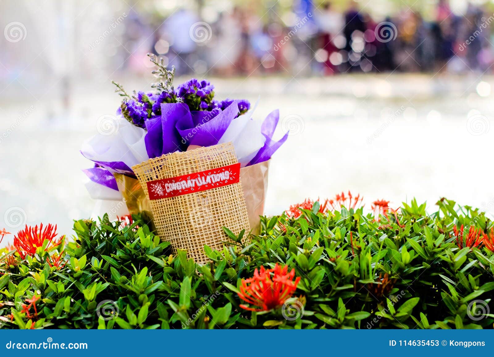 Bouquet stock image. Image of celebration, flower, natural 114635453
