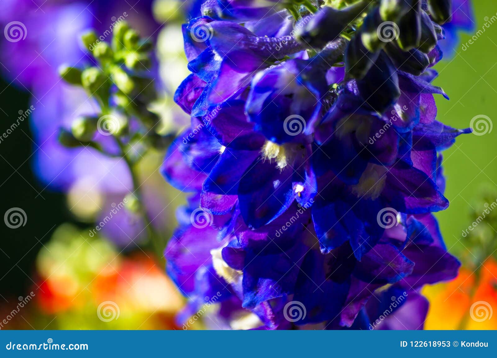 A Bouquet of Bright Spring Flowers of Various Types Stock Image - Image ...
