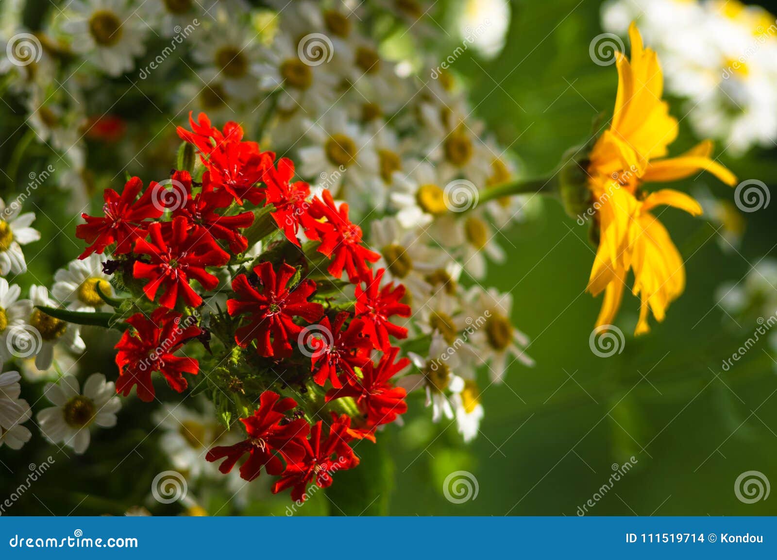 A Bouquet of Bright Spring Flowers of Various Types Stock Photo - Image ...