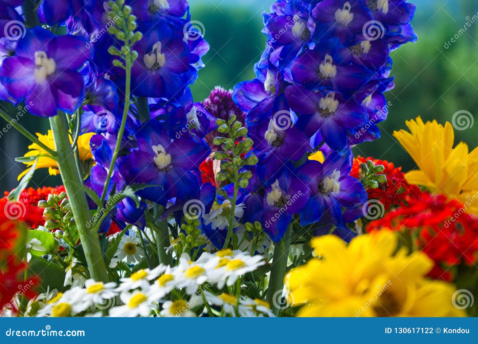 A Bouquet of Bright Spring Flowers of Various Types Stock Photo - Image ...