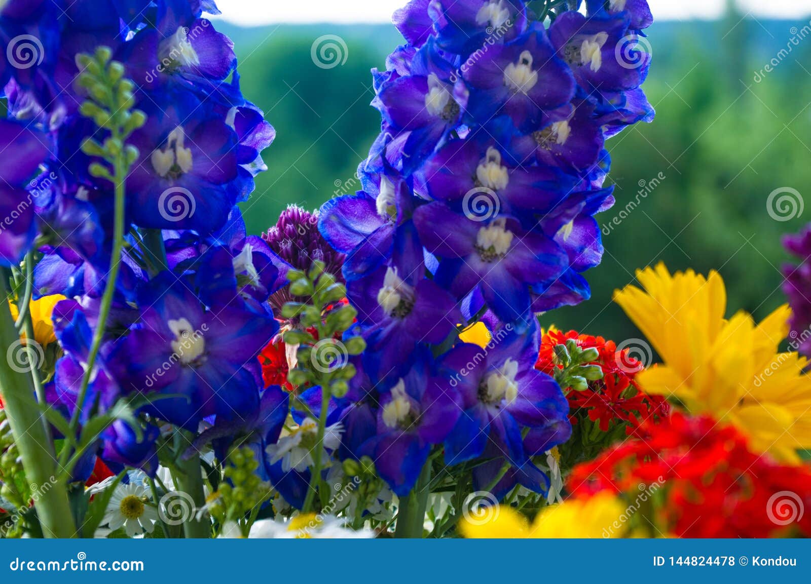 A Bouquet of Bright Spring Flowers of Various Types Stock Photo - Image ...