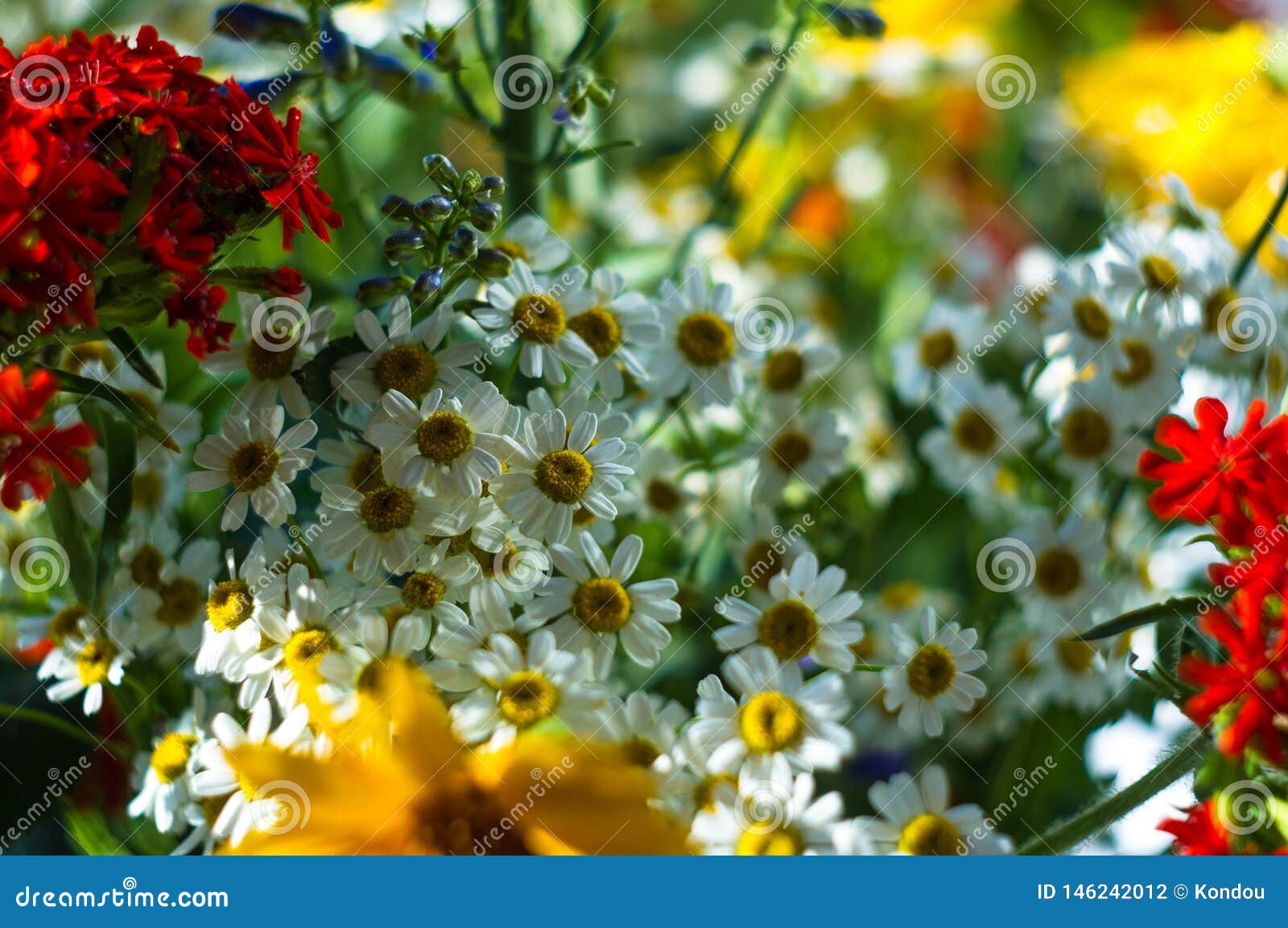 A Bouquet of Bright Spring Flowers of Various Types Stock Photo - Image ...