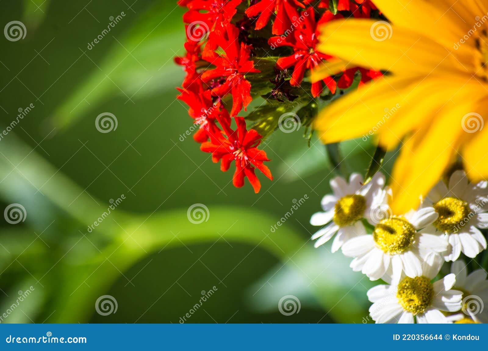 A Bouquet of Bright Spring Flowers of Various Types Stock Photo - Image ...