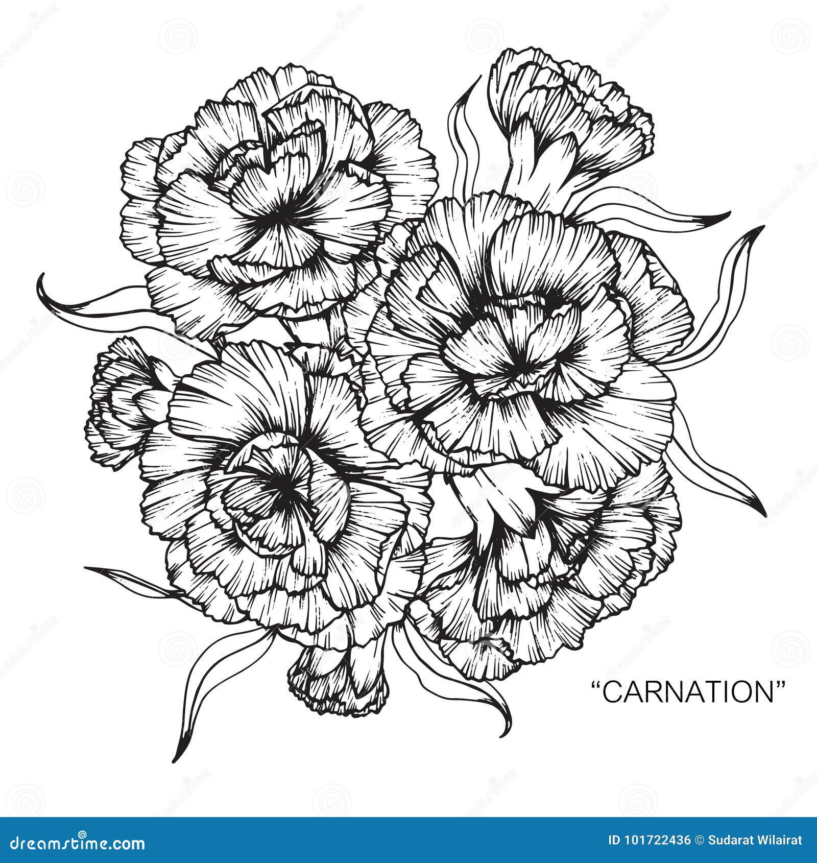 birth month flowers  January  Carnation flower tattoo Birth flower  tattoos White flower tattoos