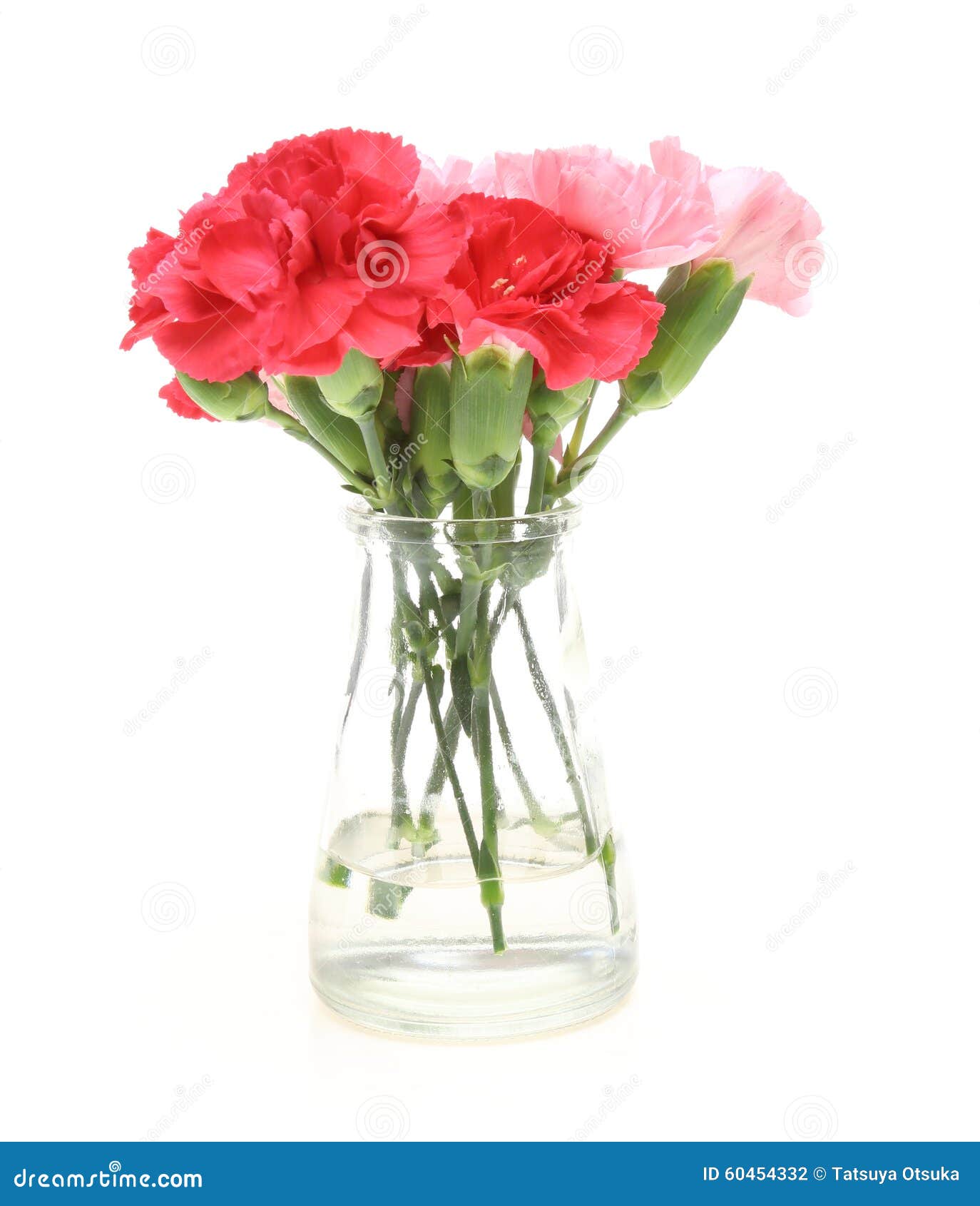 Bouquet of Carnation in a Glass Bottle Stock Photo Image of vase