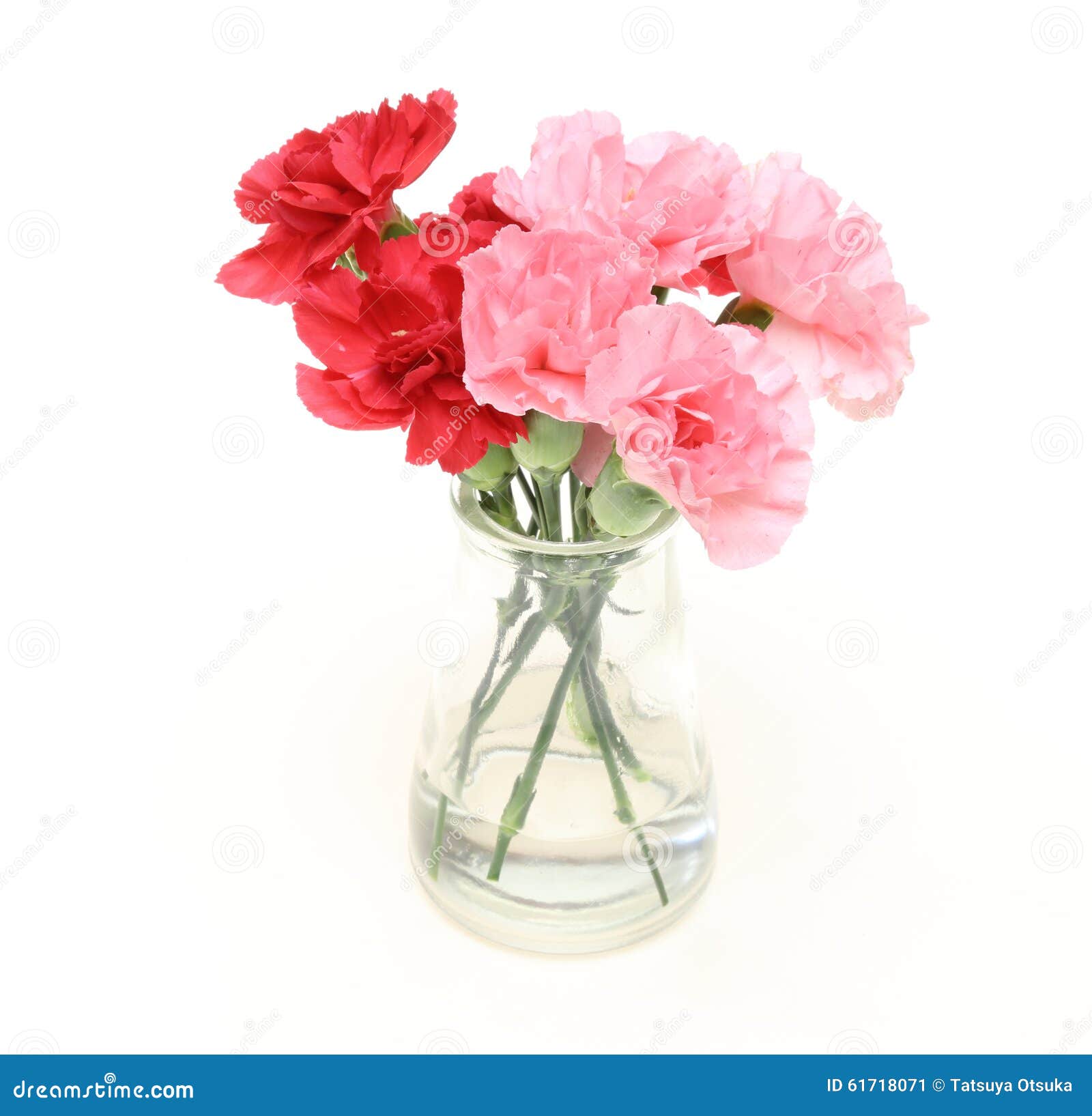 Bouquet of Carnation in a Glass Bottle Stock Image Image of bottle
