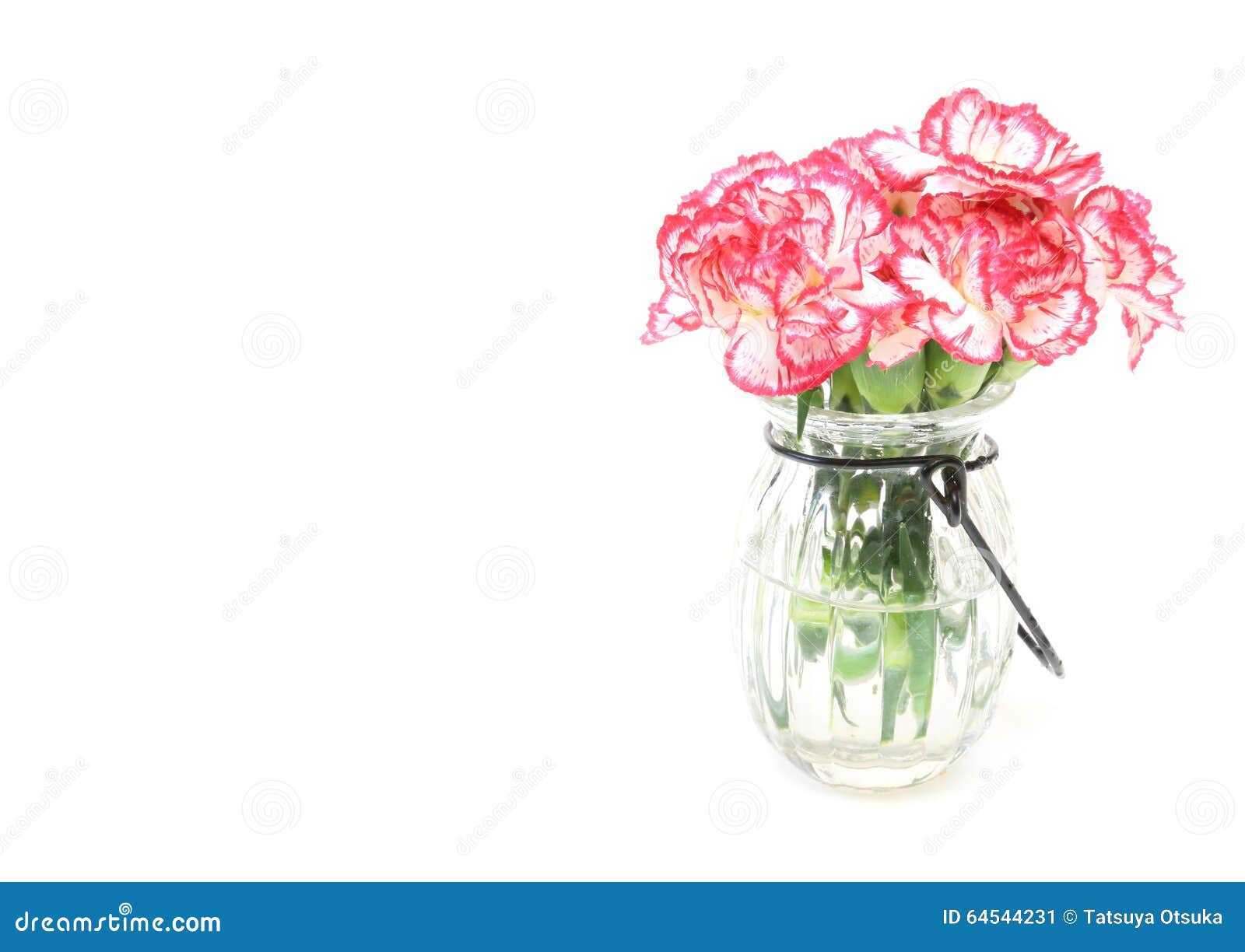 Bouquet of Carnation in a Glass Bottle Stock Image Image of bottle