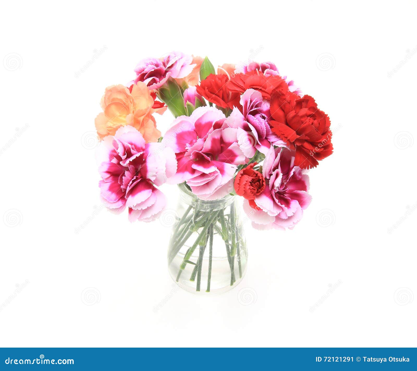 Bouquet of Carnation in a Glass Bottle Stock Image Image of beautiful