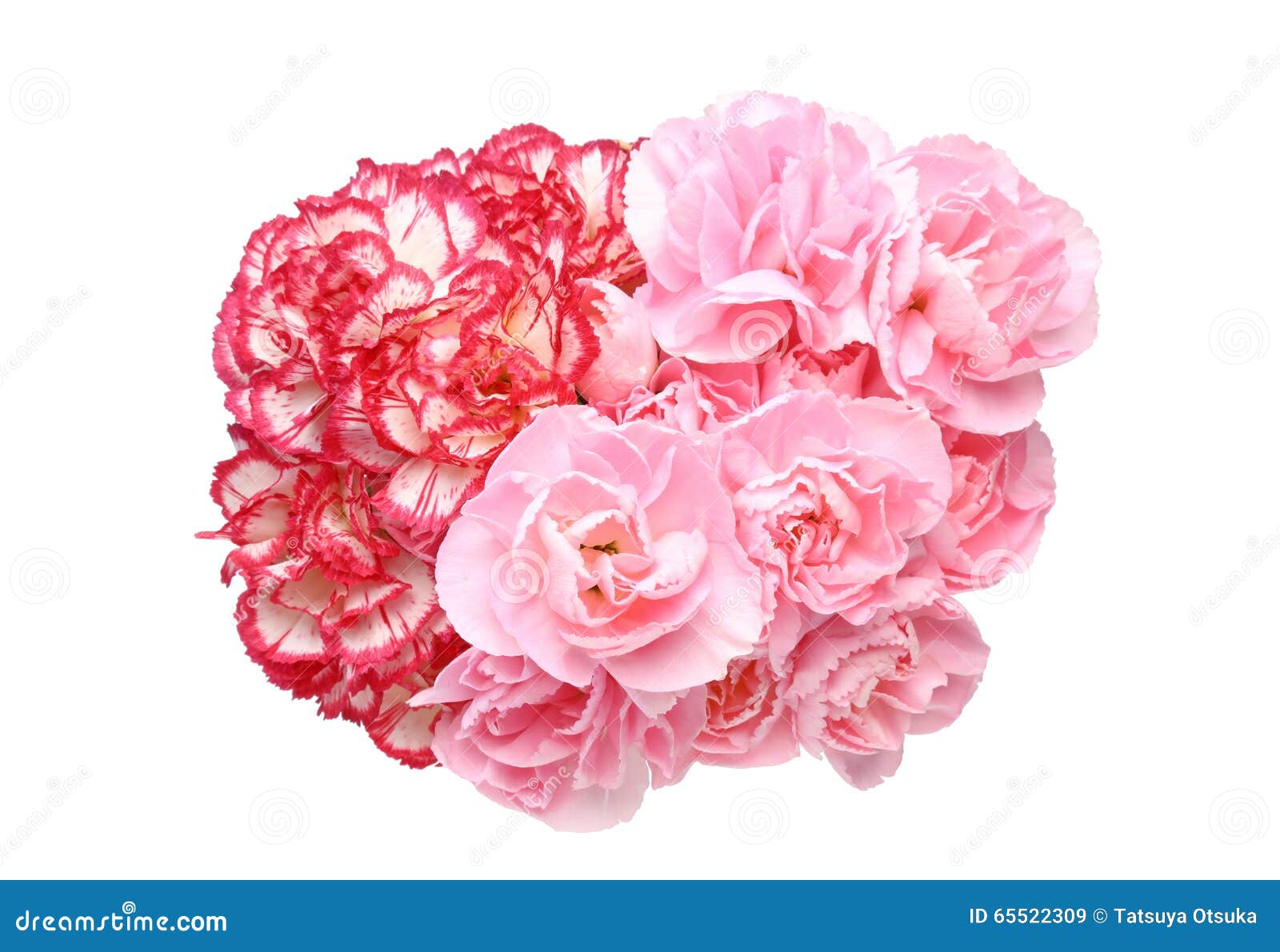 Bouquet of carnation stock image. Image of present, mothers - 65522309