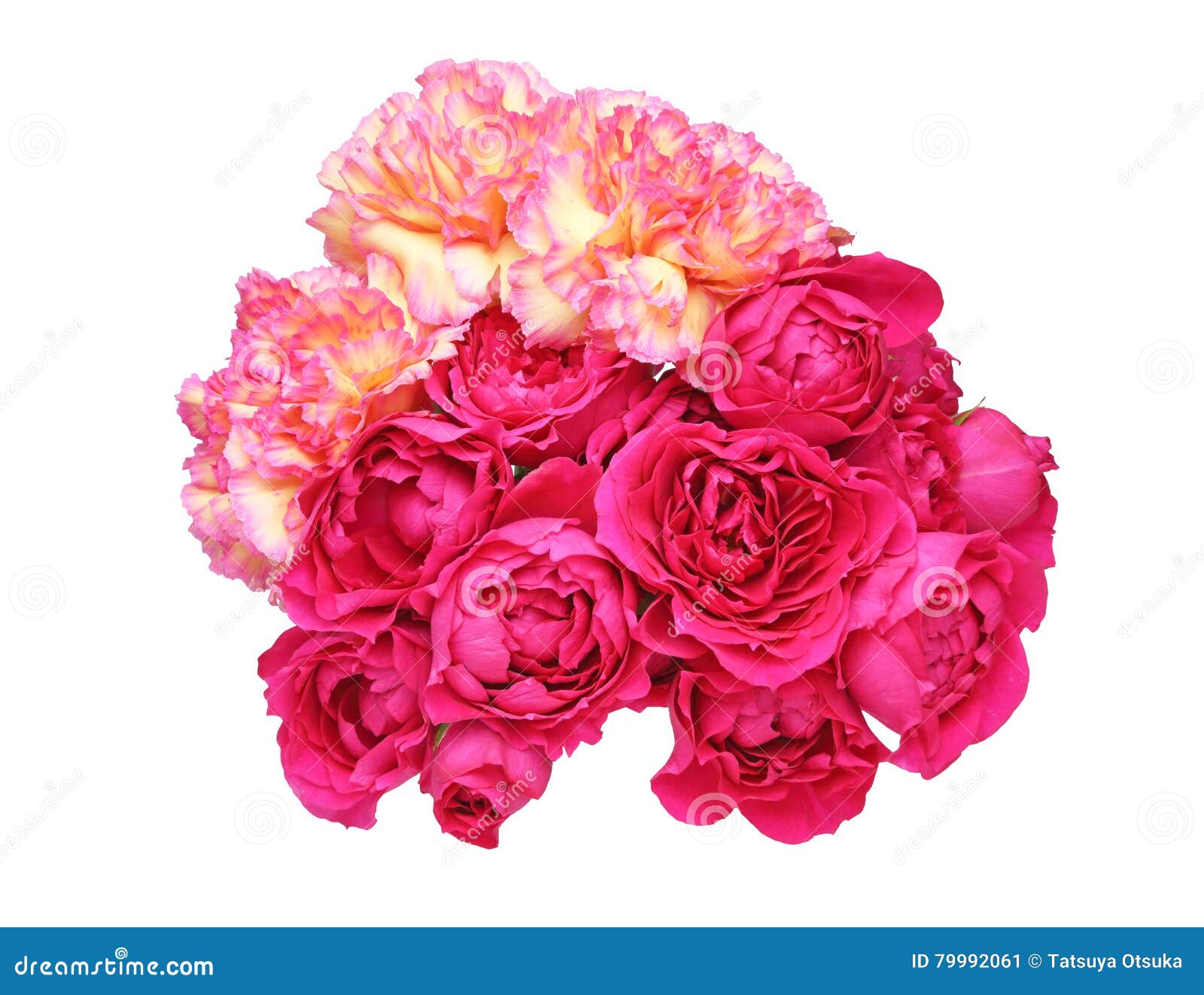 Bouquet of Carnation and Rose Stock Image Image of floral, nature