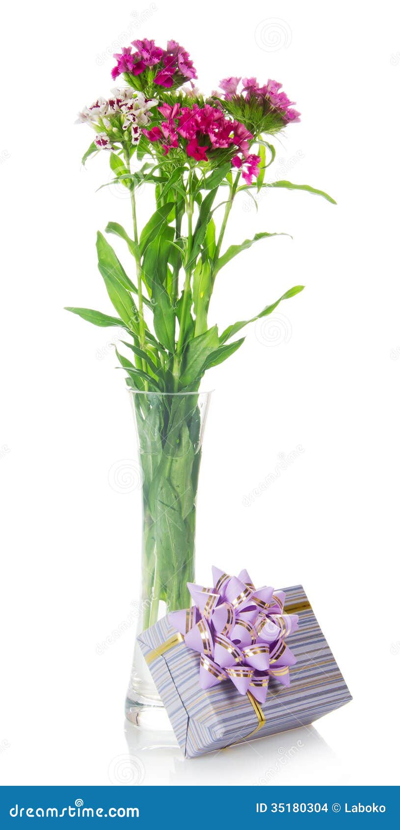 Bouquet of Carnations and Gift Box with a Bow Stock Photo Image of