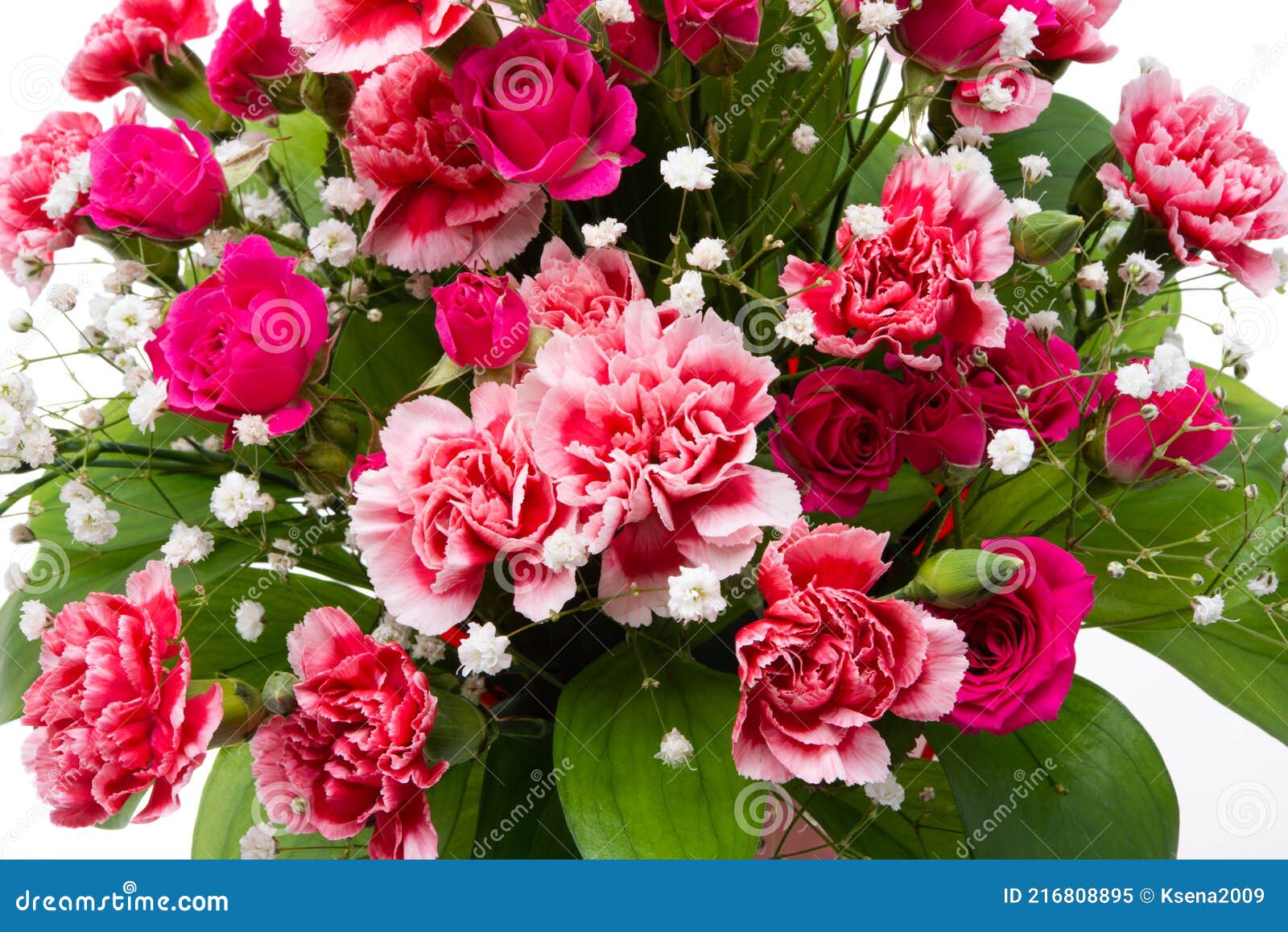 Bouquet of Carnations with Roses Isolated Stock Image Image of