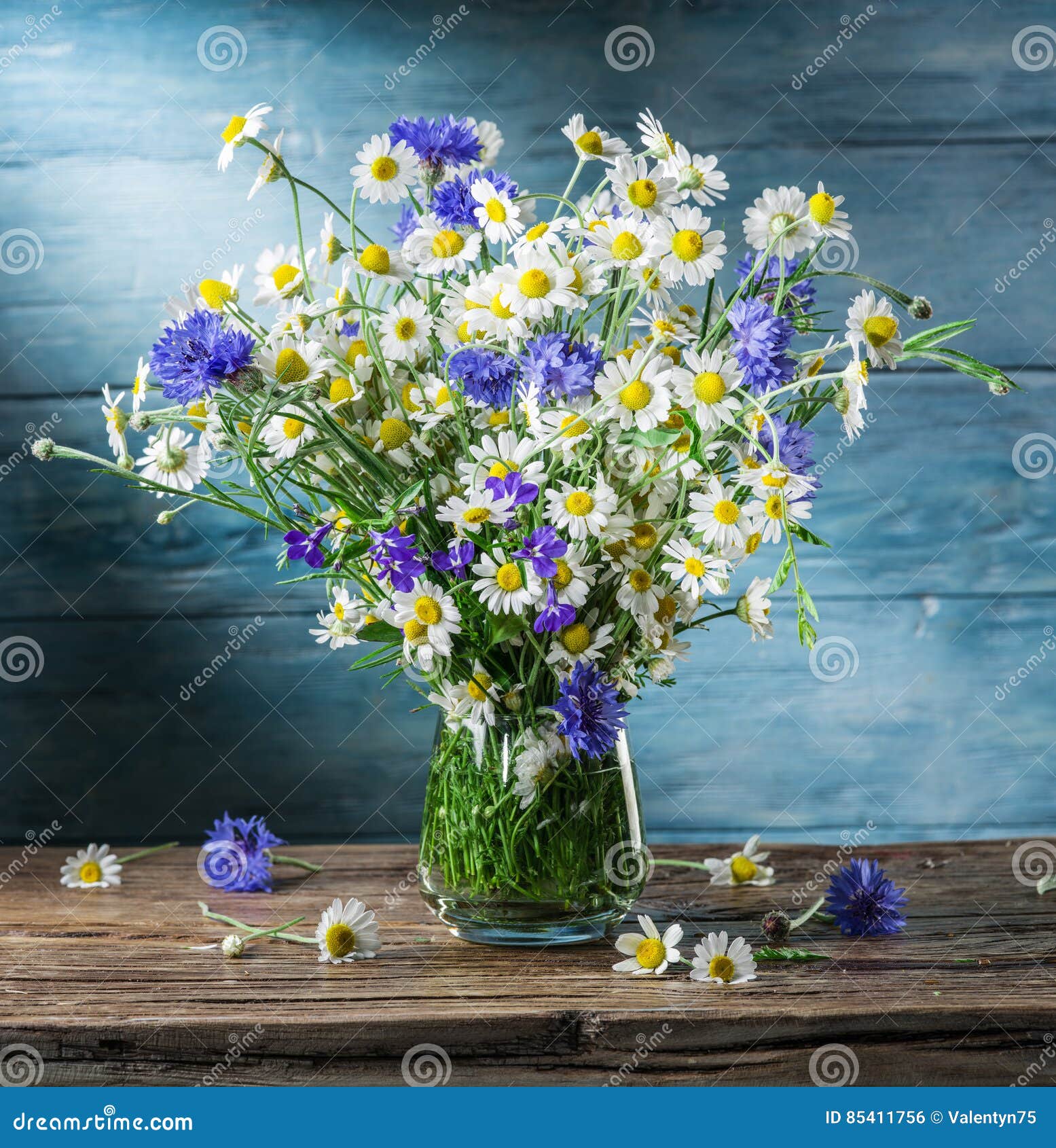 Bouquet of Chamomiles and Cornflowers in the Vase. Stock Photo - Image ...