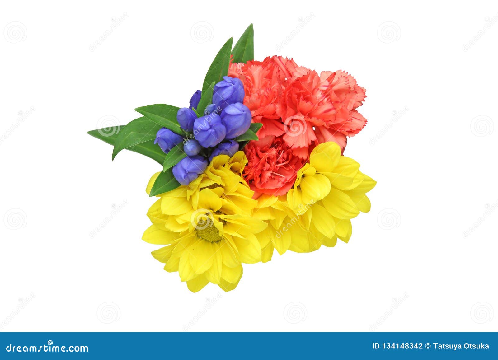 Bouquet of Chrysanthemum,carnation and Gentian in a White Background