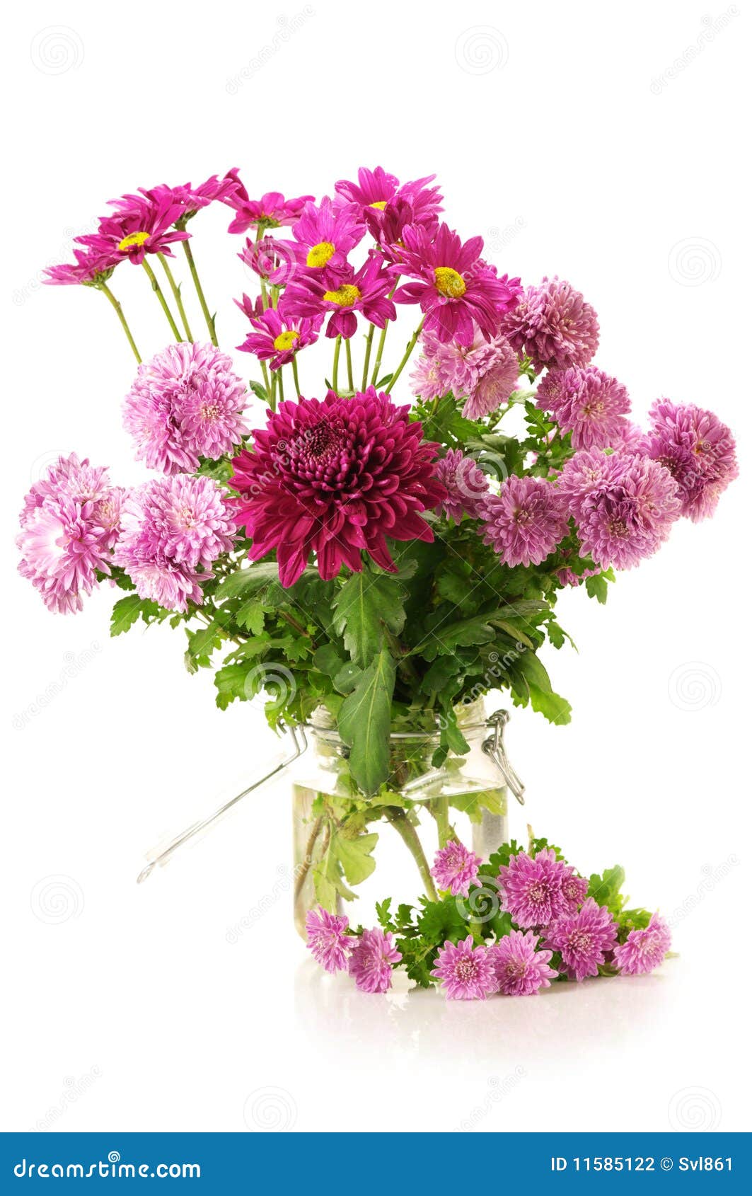 Bouquet of chrysanthemums stock photo. Image of autumn 11585122