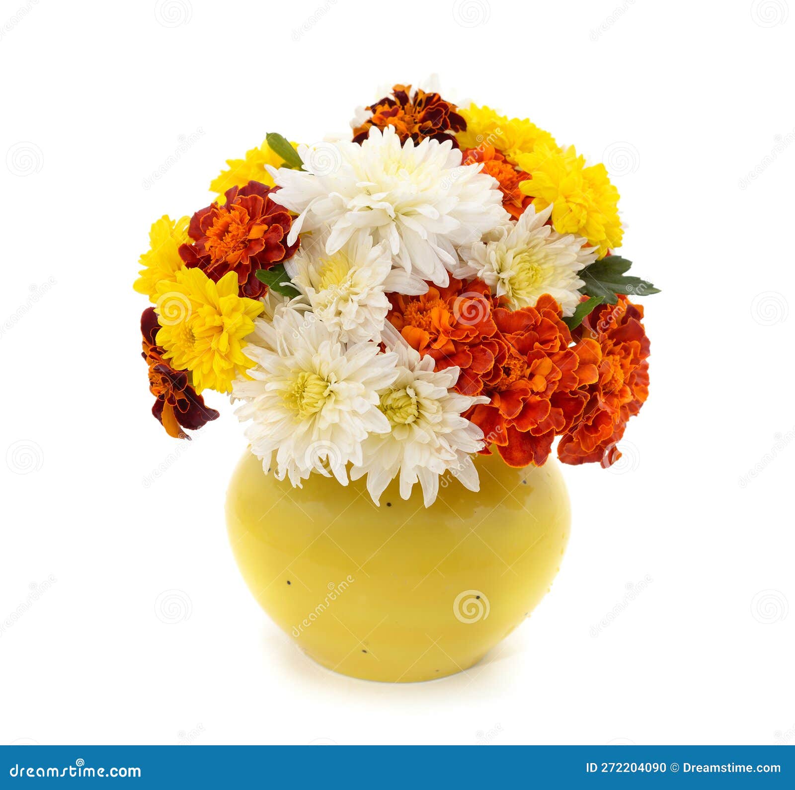 Bouquet Chrysanthemums in a Vase Stock Photo Image of white, nature