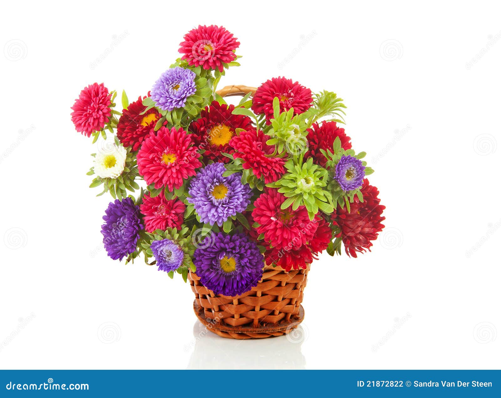 Bouquet of Colorful Asters Flowers in Cane Basket Stock Photo Image