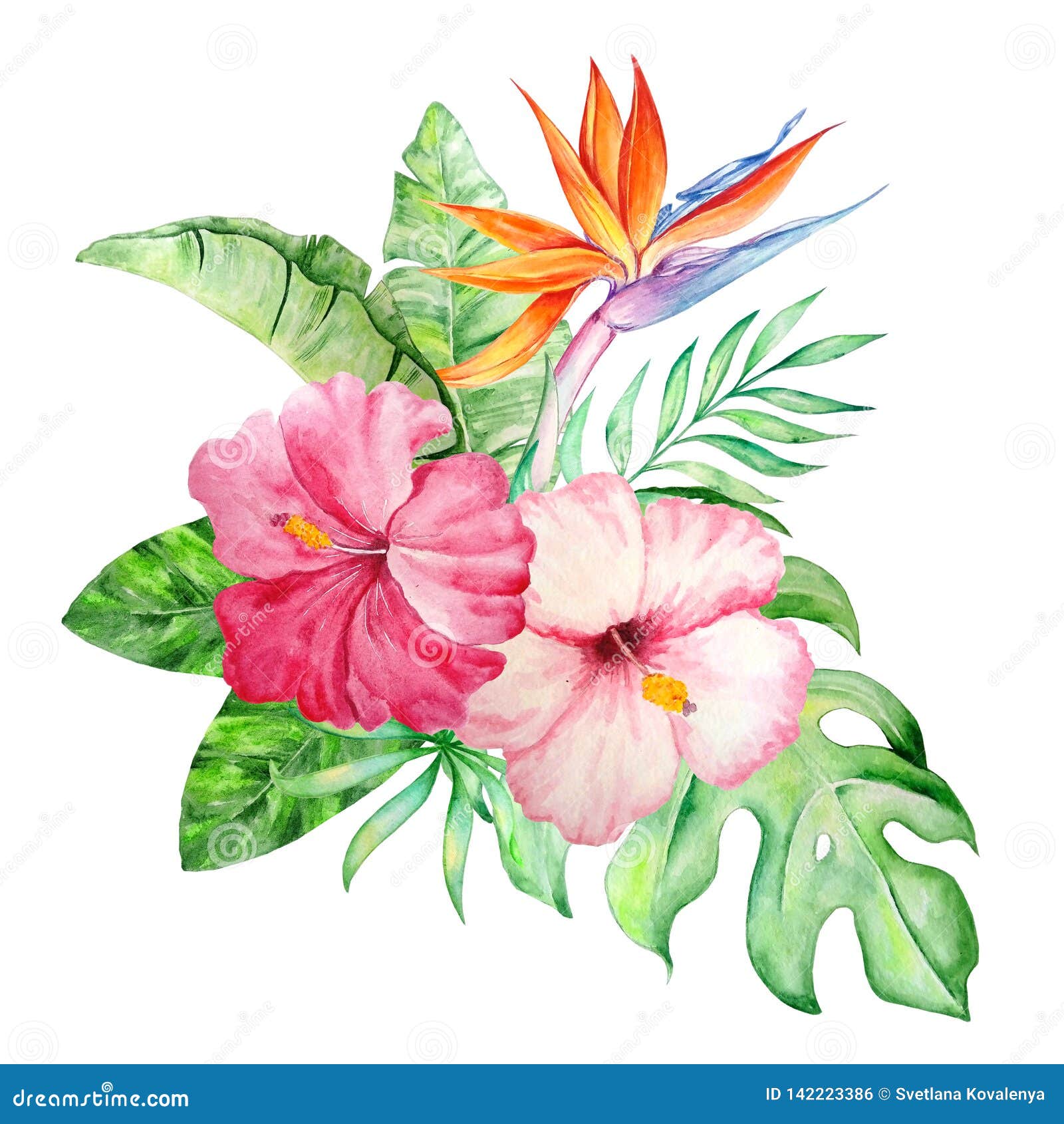 Bouquet D'aquarelle Des Fleurs Tropicales Illustration Stock - Illustration  du fleurs, décoration: 142223386