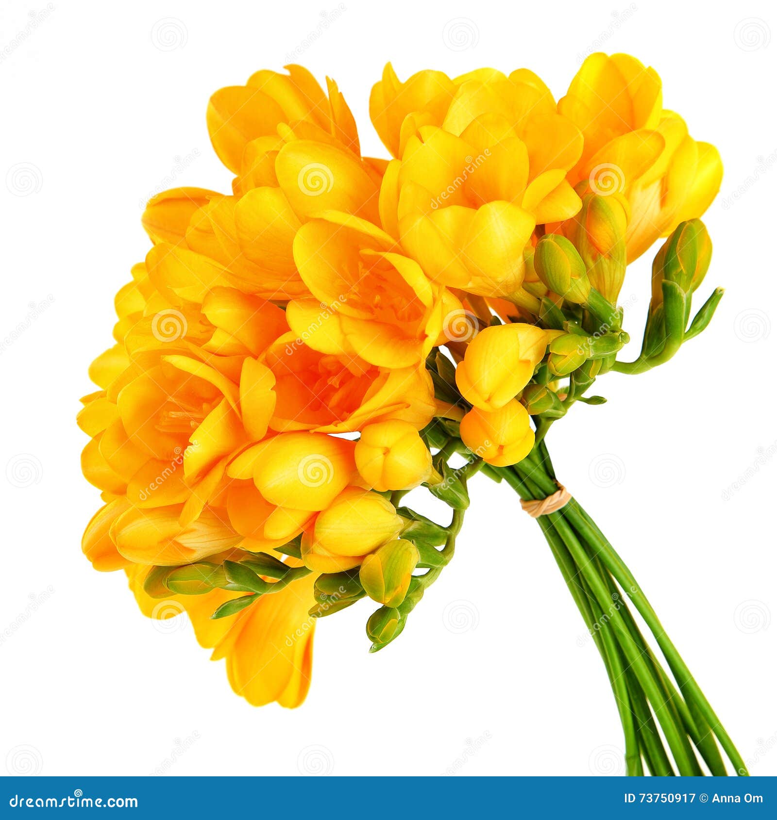 Bouquet D'belles Fleurs Jaunes Image stock - Image du floraison, frais:  73750917