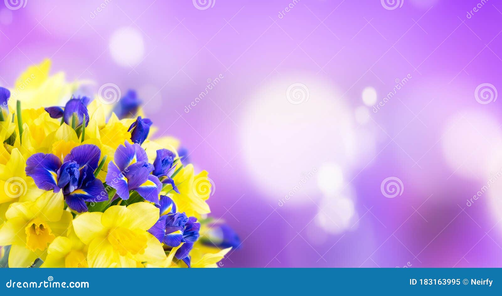 Bouquet of Daffodil and Iris Flowers Stock Image Image of easter