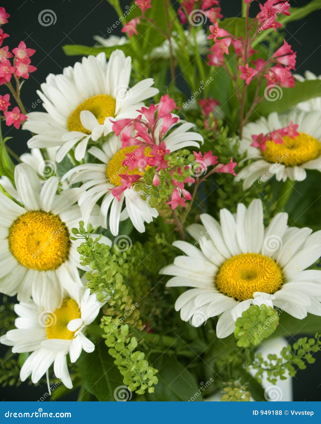 Bouquet of daisies stock photo. Image of vase, image, daisy 949188