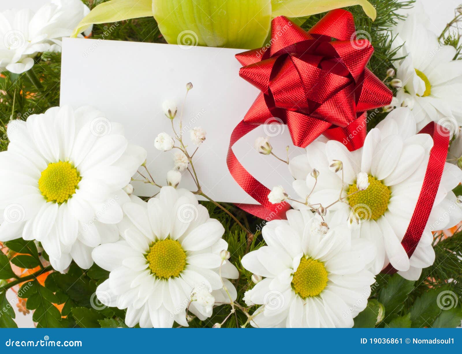 Bouquet of Daisies with Card Stock Image Image of card, colorful