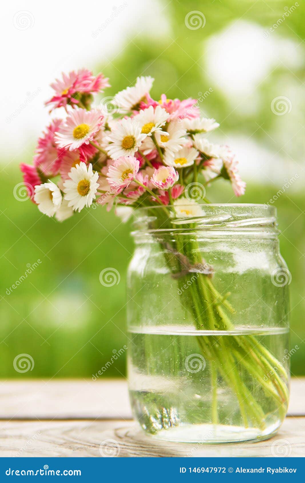 Dry Daisy Flowers In A Glass Jar Stock Photo - Download Image Now
