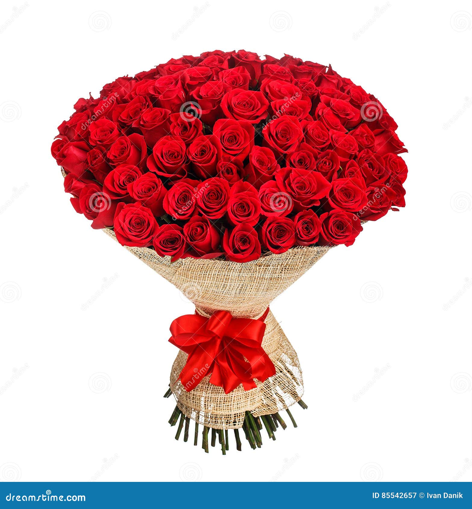 Bouquet De Fleur De 100 Roses Rouges Image stock - Image du lame, jour:  85542657