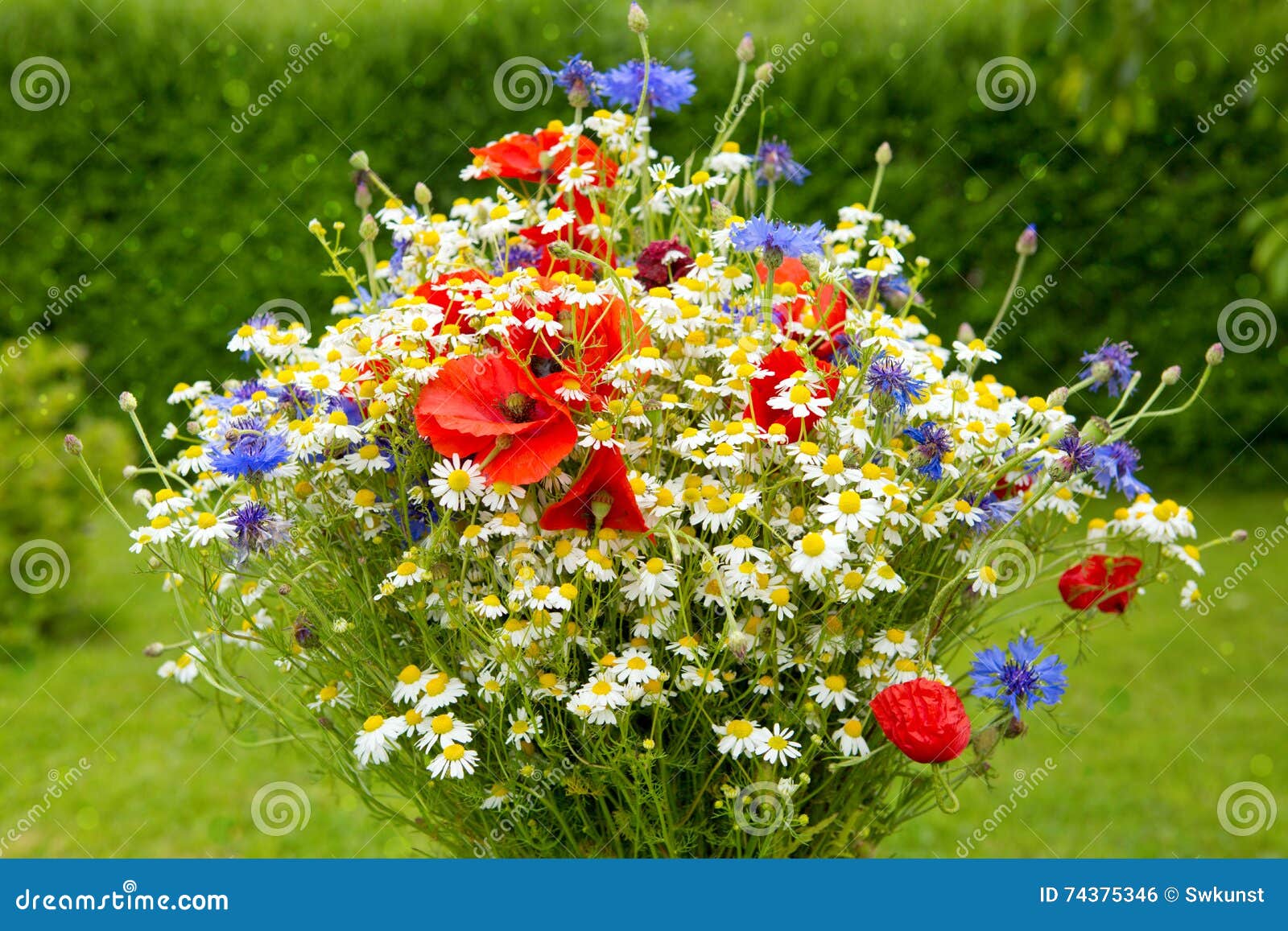 Bouquet de fleur sauvage photo stock. Image du bleuet - 74375346
