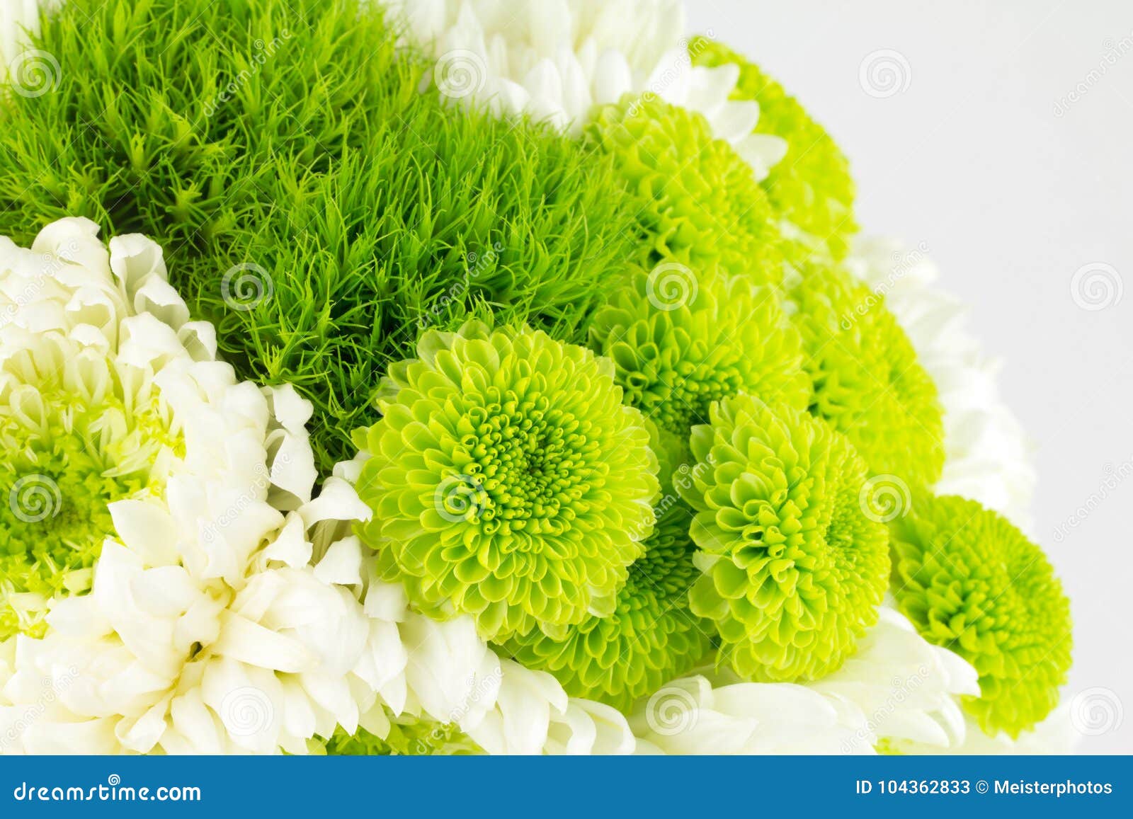 771 Photos de Bouquet De Fleur Verte Et Blanche - Photos de stock gratuites  et libres de droits de Dreamstime