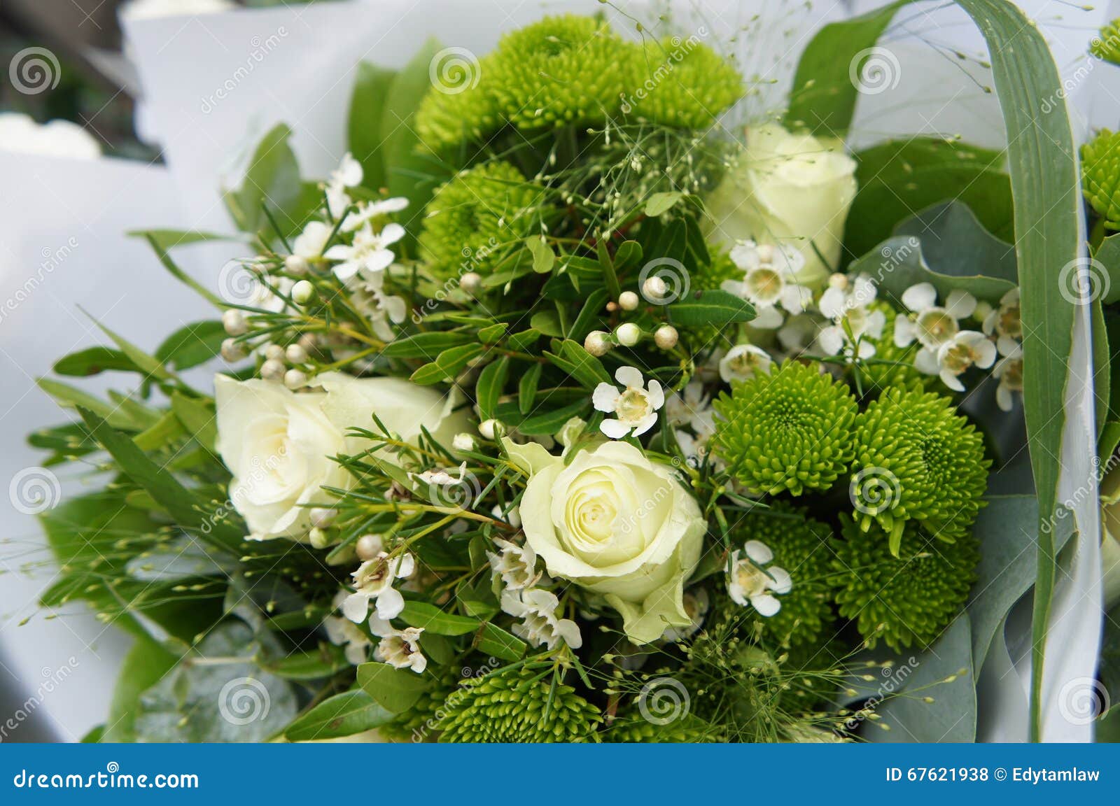 Bouquet De Fleur Verte Et Blanche Photo stock - Image du centrale, frais:  67621938