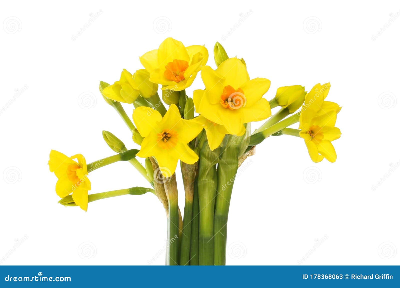 Bouquet De Fleurs De Narcisse Image stock - Image du flore, fond: 178368063