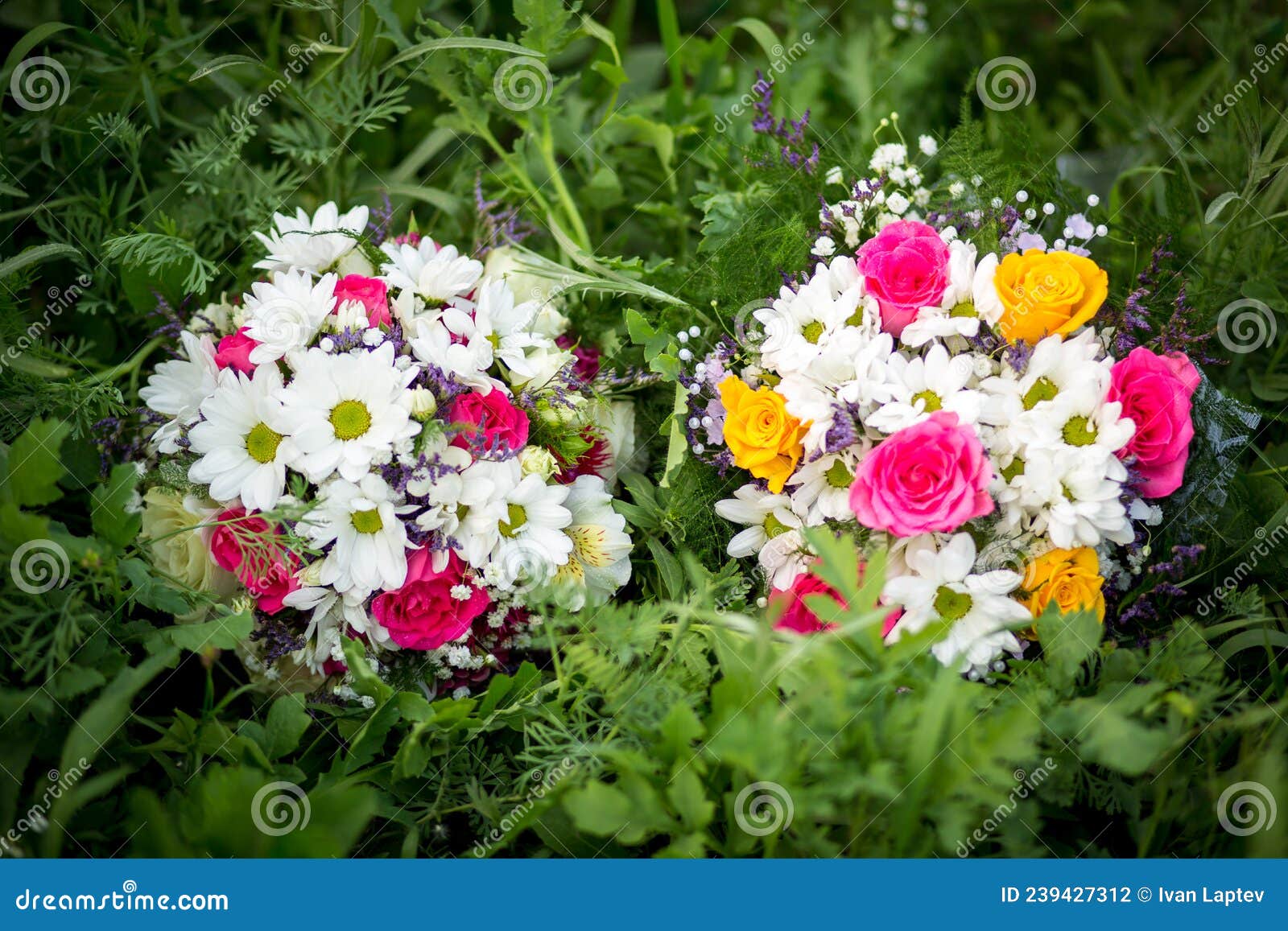 Bouquet De Flores De Rosas E Flores De Margarida Para O Dia De Tudo O Que  Floresce Do Bouquet Para a Noiva. Foto de Stock - Imagem de erva, noiva:  239427312