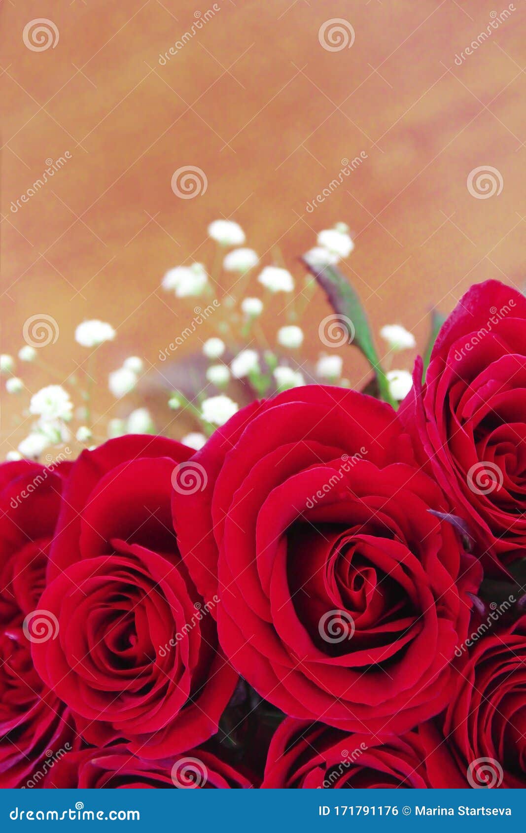Bouquet De Hermosas Flores De Rosas Rojas Naturales Para El Día De San  Valentín Y El 8 De Marzo Foto de archivo - Imagen de tarjeta, manojo:  171791176