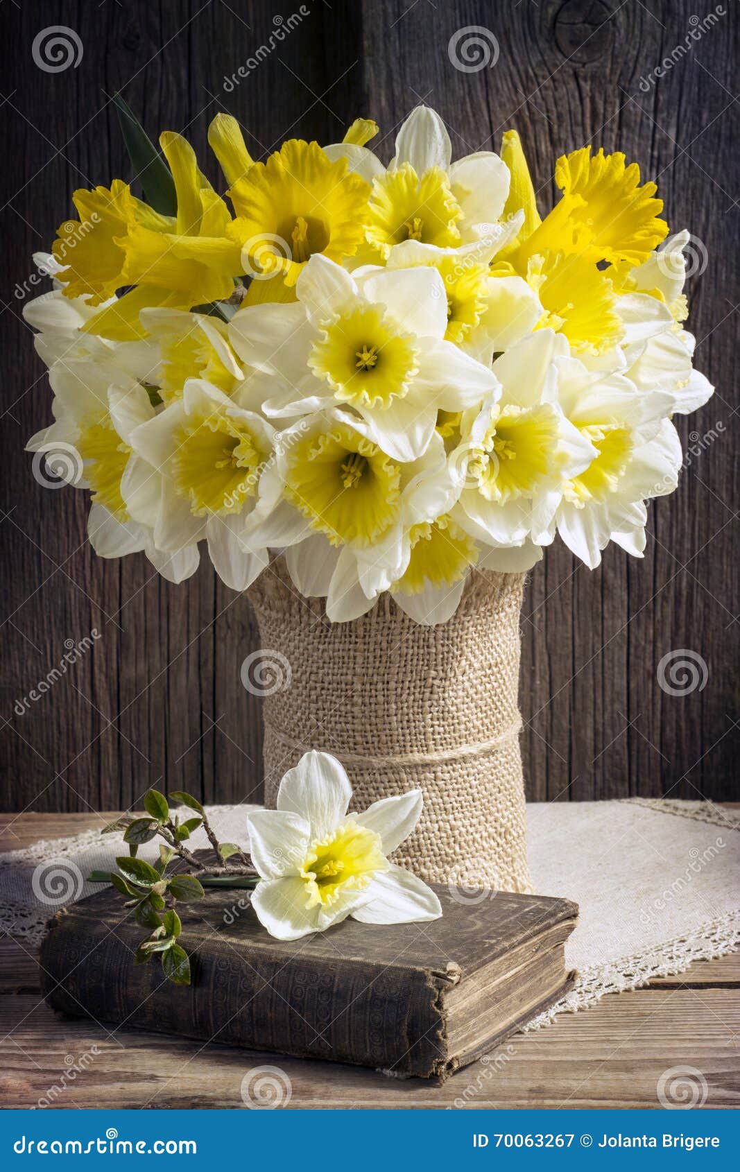 Bouquet De Jonquilles Image Stock Image Du Nature Vert