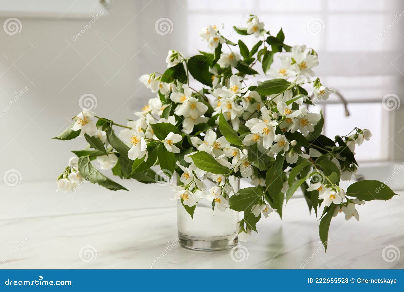 Bouquet De Lindas Flores Jasmim Em Vaso De Vidro Em Mesa De Mármore Branca  No Interior Foto de Stock - Imagem de buquê, pétala: 222655528