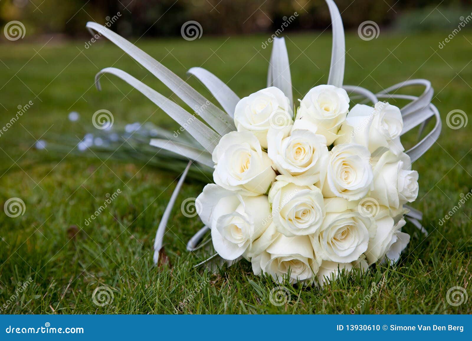 Bouquet De Mariage Des Roses Blanches Photo stock - Image du fleurs, blanc:  13930610