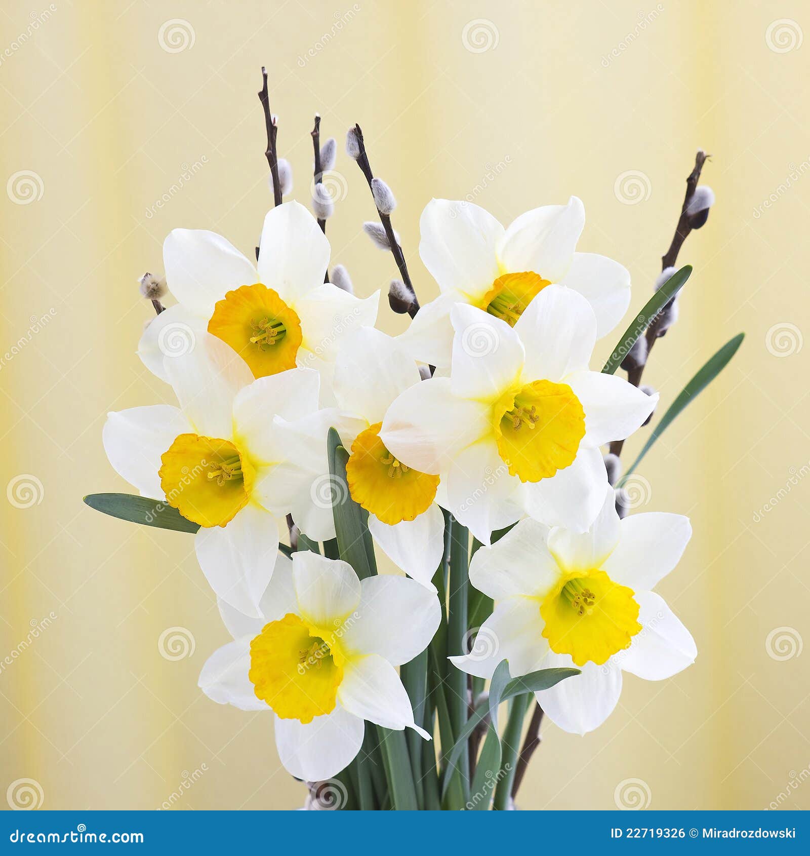 Bouquet de narcisse photo stock. Image du fond, bouquet - 22719326