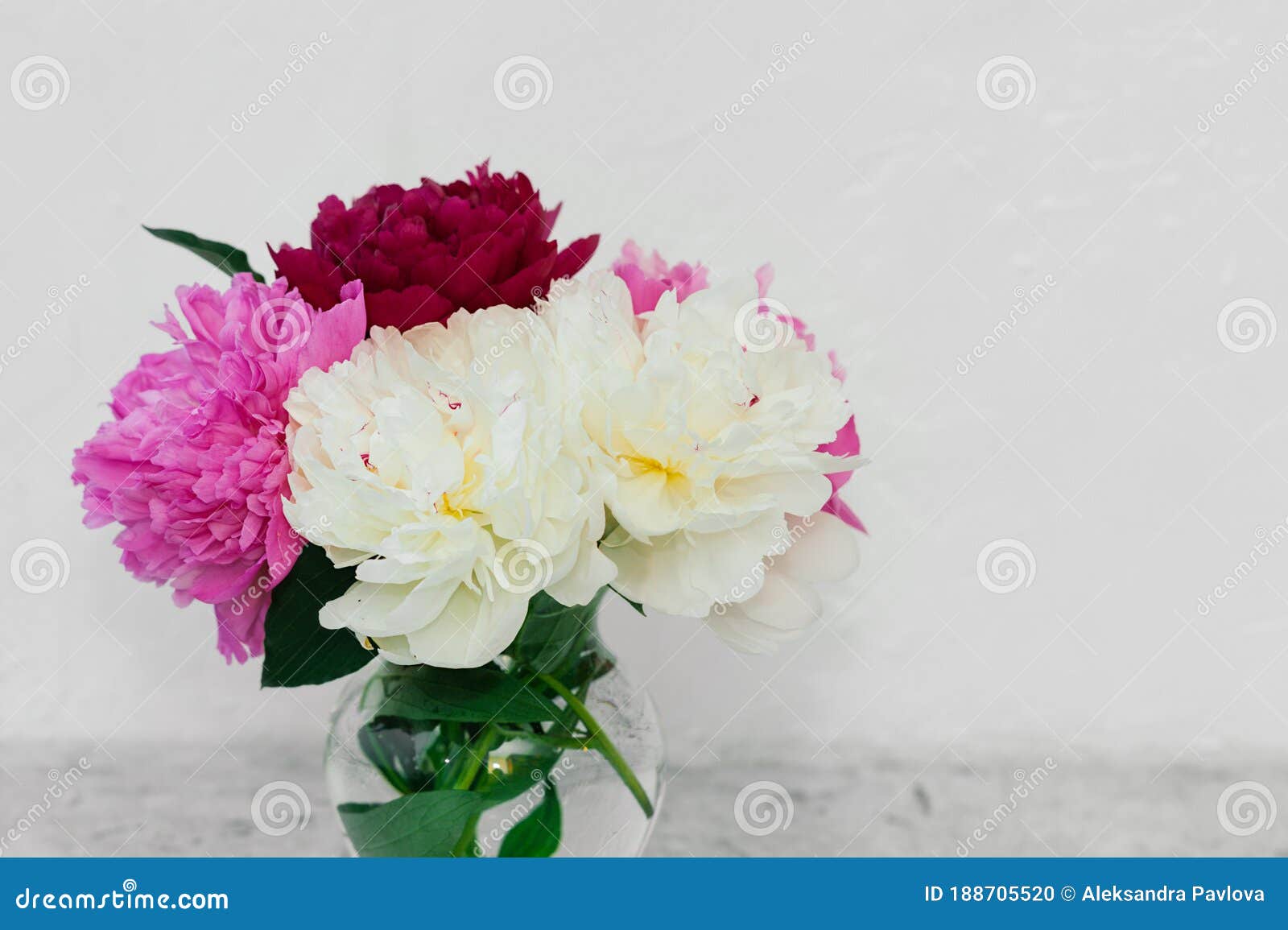 Bouquet De Pivoines Colorées Multi Parfumées Luxuriantes Fraîches Dans Un  Vase En Verre élégant Sur Fond Blanc à L'intérieur Photo stock - Image du  flore, pivoine: 188705520