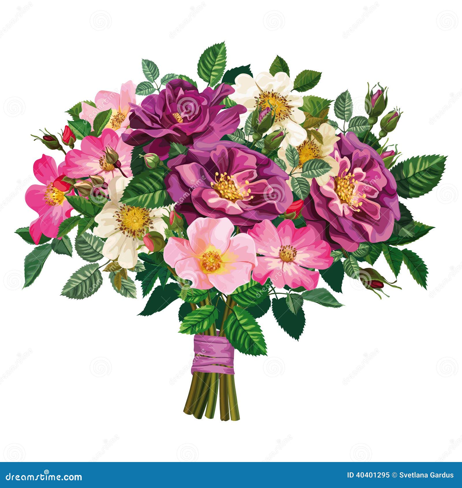 Bouquet De Rose Sauvage Et Des Roses Violettes Illustration de Vecteur -  Illustration du isolement, bourgeon: 40401295