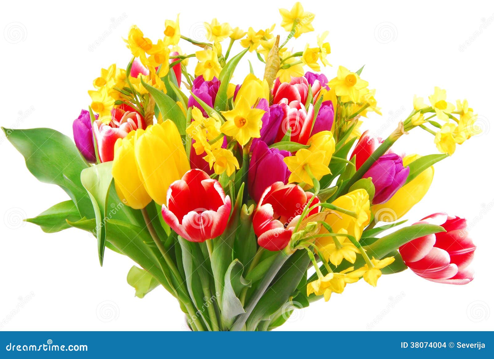 Bouquet De Tulipe Et De Jonquille Photo stock - Image du lame, fleur:  38074004