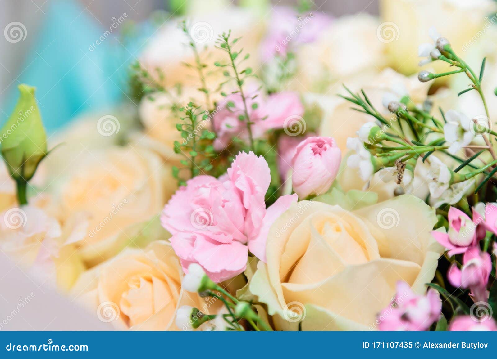 A Bouquet of Delicate Creamcolored Roses Stock Image Image of cream