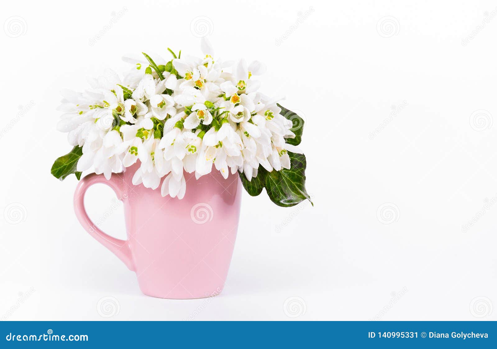 Bouquet of Delicate Spring Flowers. Galanthus Stock Image Image of