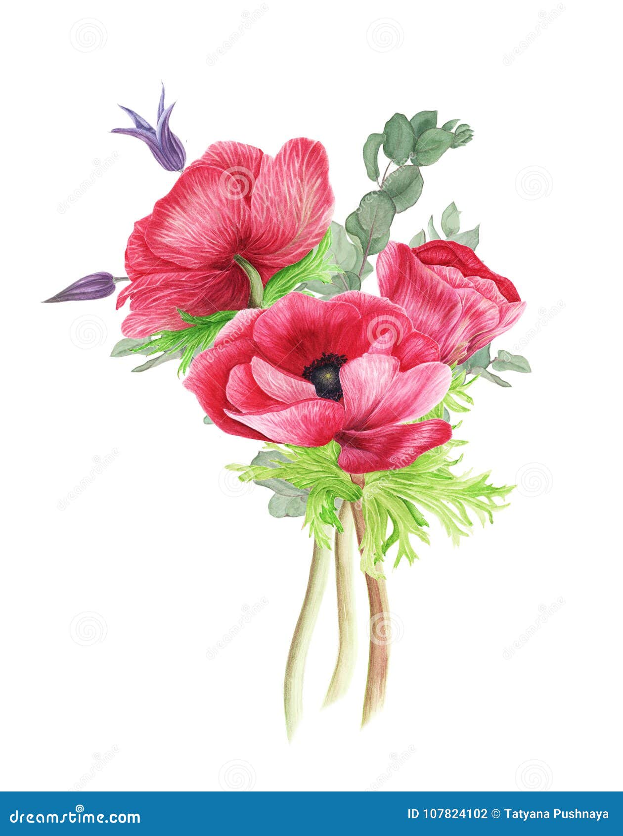 Bouquet Des Fleurs : Anémones, Clématite Et Eucalyptus Roses, Peinture D' aquarelle Illustration Stock - Illustration du bouquet, fleurs: 107824102