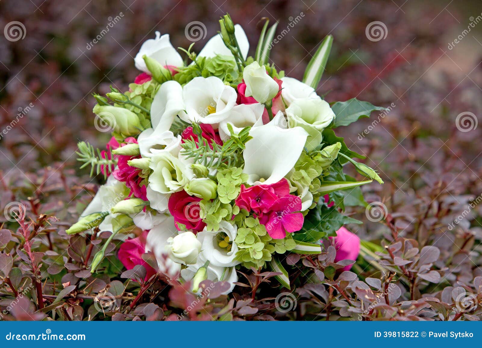 Bouquet Des Fleurs Colorées Sur Le Fond Naturel Photo stock - Image du  agencement, rose: 39815822