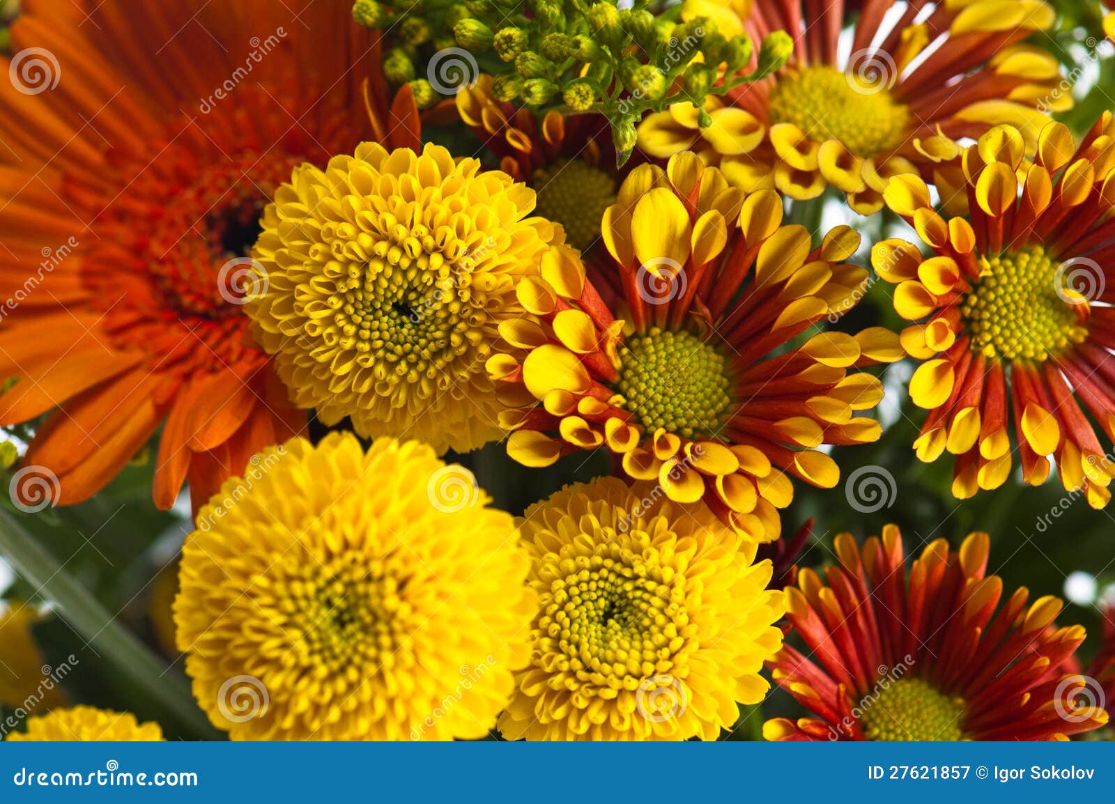 Bouquet Des Fleurs D'été, Plan Rapproché Image stock - Image du fond ...