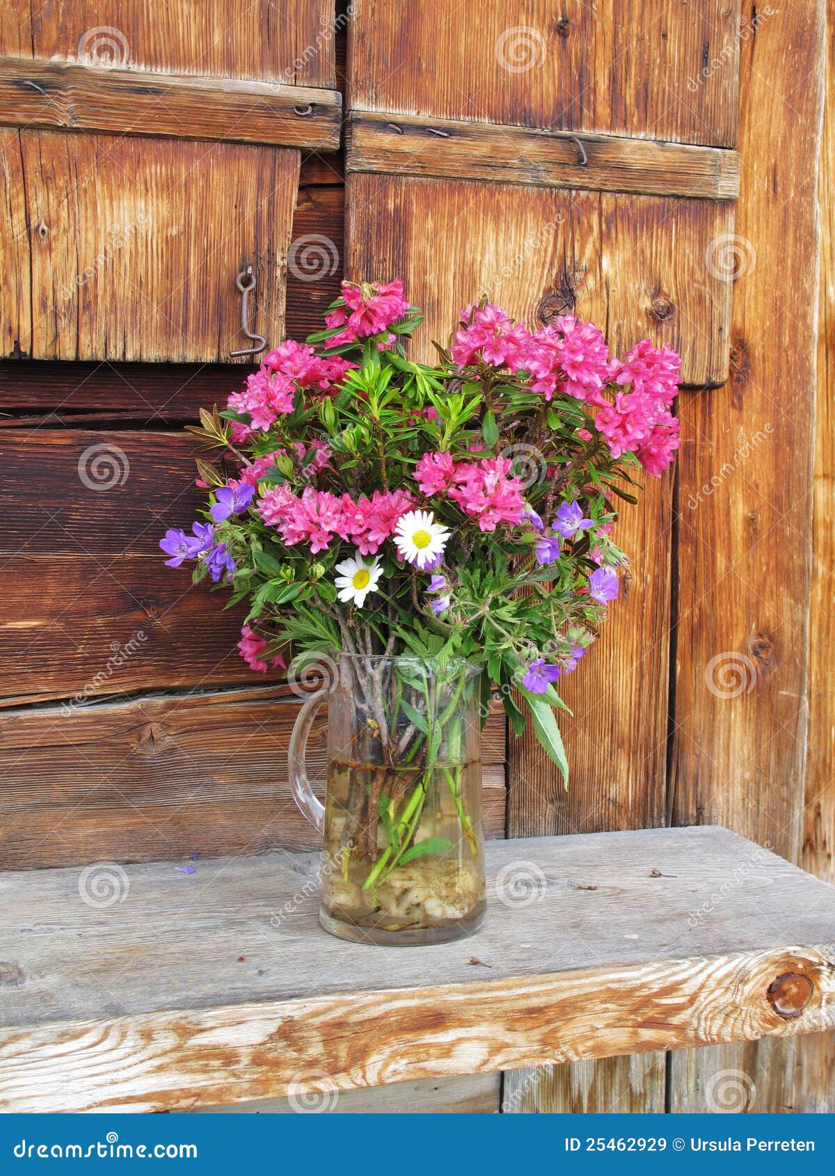 Bouquet Des Fleurs De Montagne Image Stock Image Du Vieux