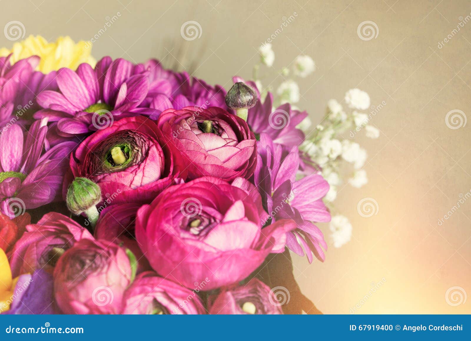 Bouquet Des Fleurs Fond Romantique De Carte Postale Macro Photo Stock Image Du Carte Bouquet Bouquet Des Fleurs Fond Romantique De Carte Postale Macro Photo Stock Image Du Carte Bouquet