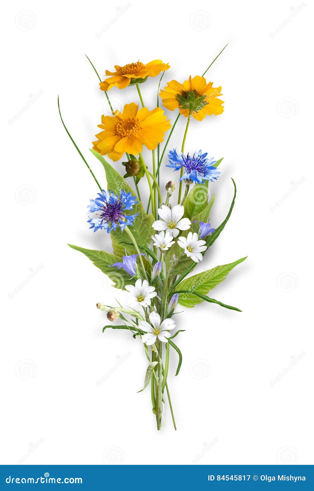 Bouquet Des Fleurs Sauvages De Champ Image stock - Image du marguerite,  fleur: 84545817